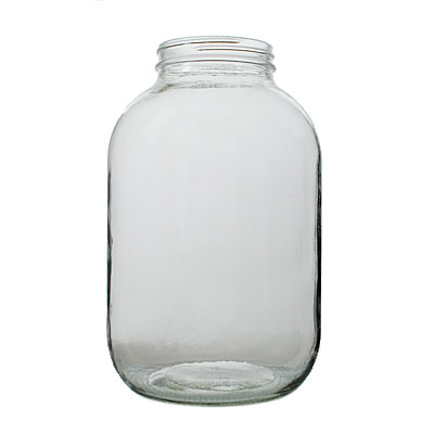 1GAL FLI ECONOMY JAR 89-400